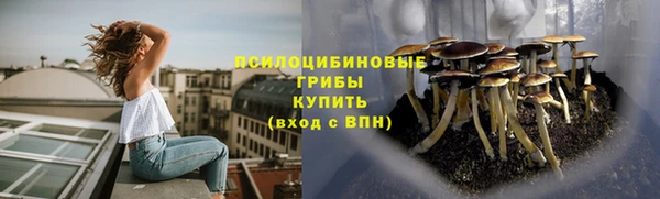 стафф Липки