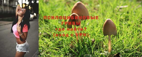 индика Лиски