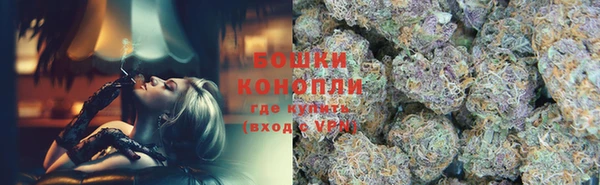 стафф Липки