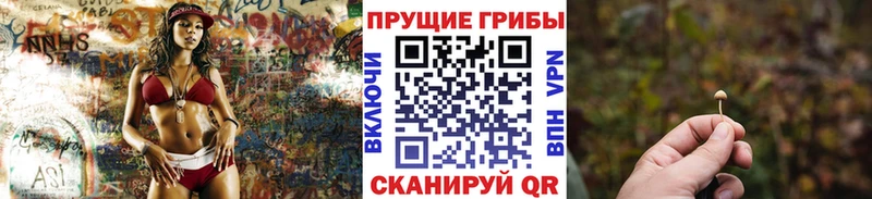 Купить закладки  Белоярский  Псилоцибиновые грибы Psilocybine cubensis 